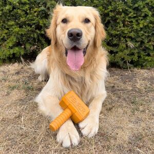 Fenrir Dog Chew Toy Hammer Chew Toy Medium Orange